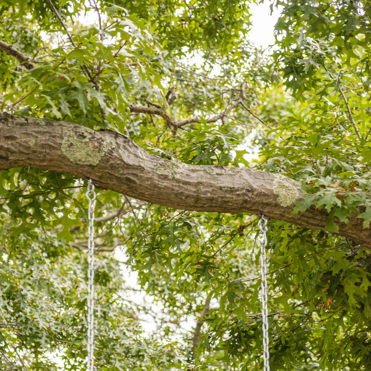 Bliss Outdoors BH-992B Wooden Skateboard Swing W/ Handle Bars & Hanging Hardware | 200 Lb. Capacity 8 Bliss Outdoors BH-992B Wooden Skateboard Swing W/ Handle Bars & Hanging Hardware | 200 Lb. Capacity - Image 6